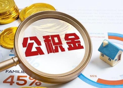 虹口2025年政策调整对个人影响综合解析‌